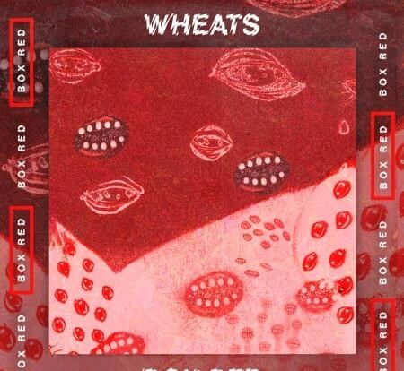 Toolroom Box Red Artist Series Volume 1 Wheats WAV